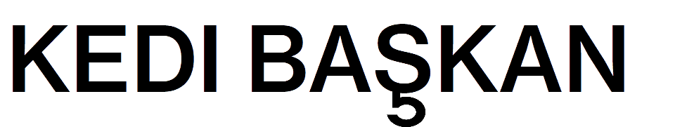 KEDI BASKAN（ケディバシュカン）